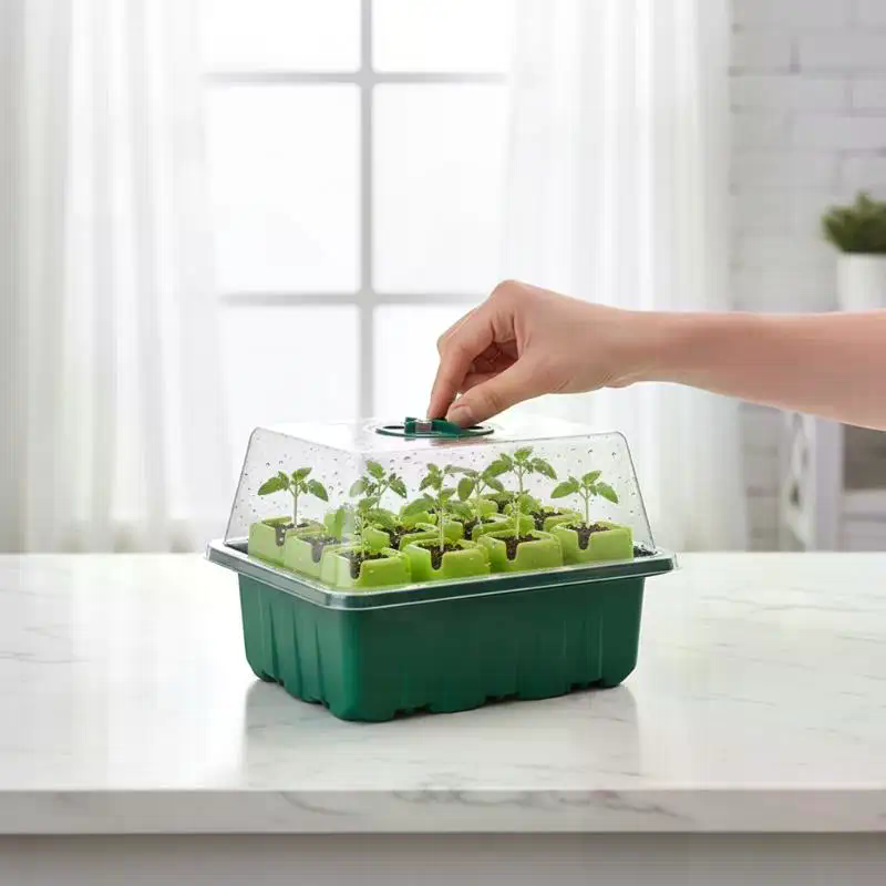 Dome Propagation Kit - Набор для проращивания семян: мини-теплица, купол