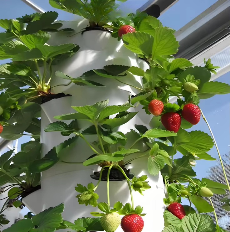 Модульная гидропонная система  – обзор и цена Urban Farming Wall